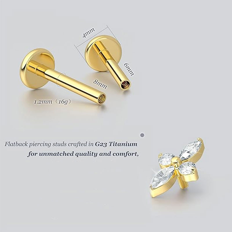 2 Stück F136 G23 Titan Knorpel – Body Jewelry Threadless Bewertung und Preis