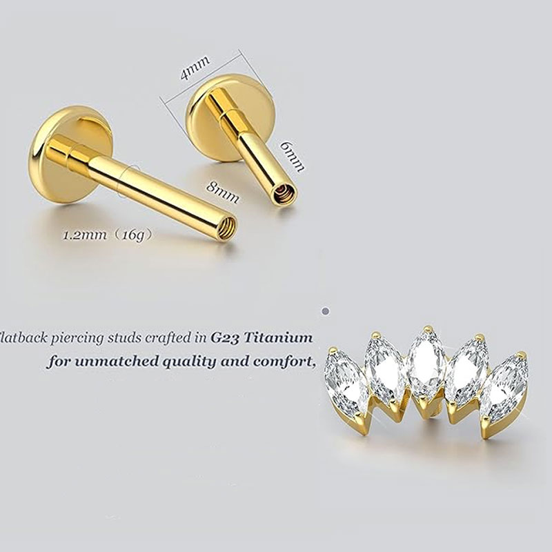 2 Stück F136 G23 Titan Knorpel – Body Jewelry Threadless Bewertung und Preis