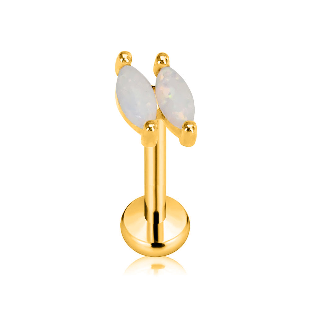 ASTM F136 G23 Titan Blume Ster – Body Jewelry Threadless Bewertung und Preis