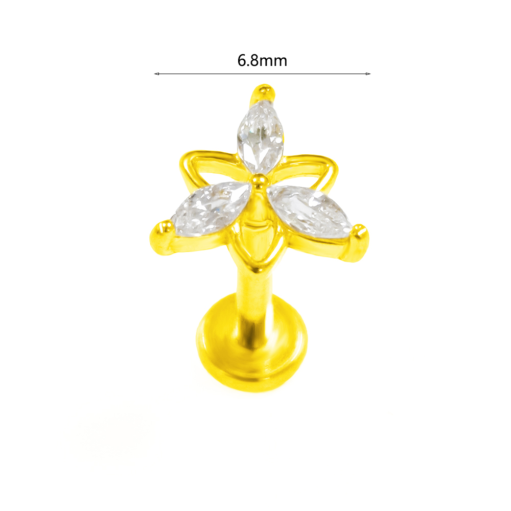 ASTM F136 G23 Titan Anhänger S – Body Jewelry Threadless Bewertung und Preis
