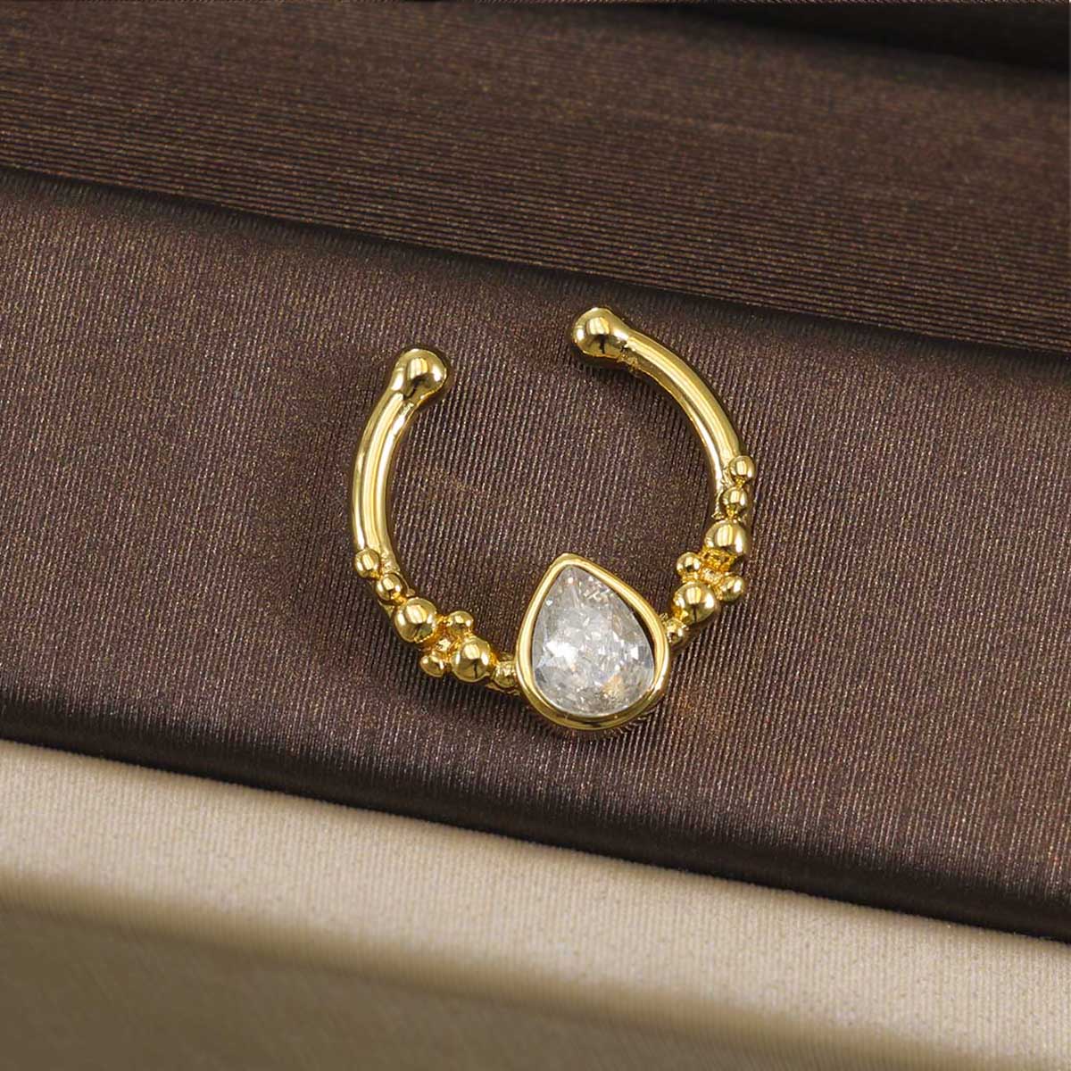 316L Edelstahl Septum Clicker  – Helix Cartilage Ring Bewertung und Preis