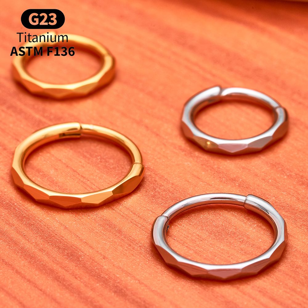 G23 Titan Facettierter CZ Segm – Helix Cartilage Ring Bewertung und Preis