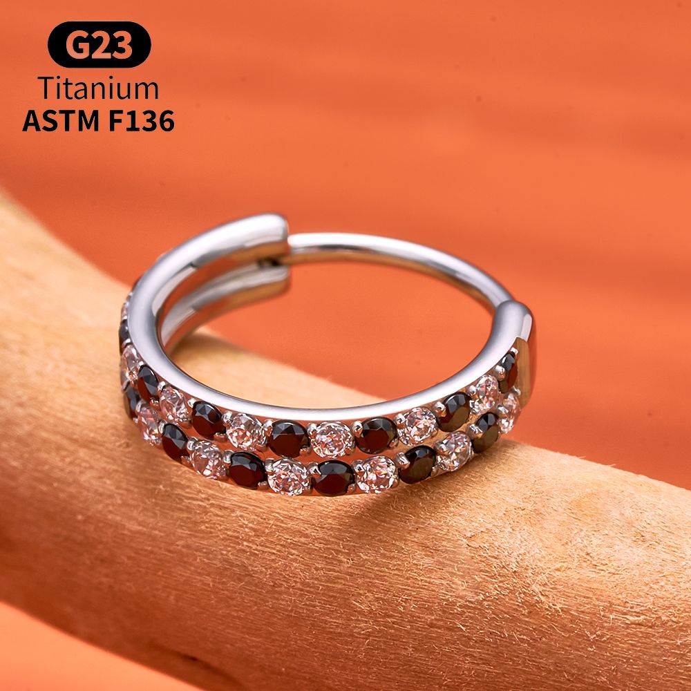 G23 Titan Facettierter CZ Segm – Helix Cartilage Ring Bewertung und Preis