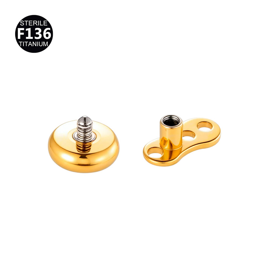 1 Stück F136 Titan 14G Innenge – Dermal Anchor Top Bewertung und Preis