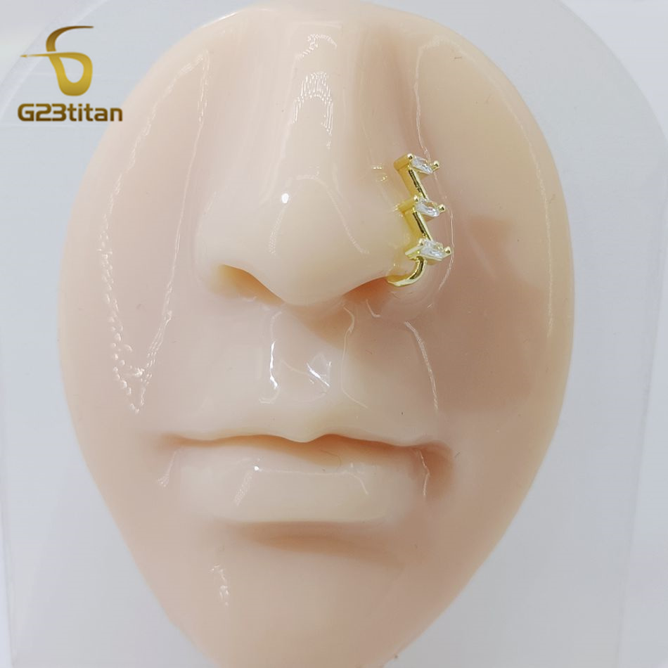 1pc gefälschte Nase Piercing R – Helix Cartilage Ring Bewertung und Preis