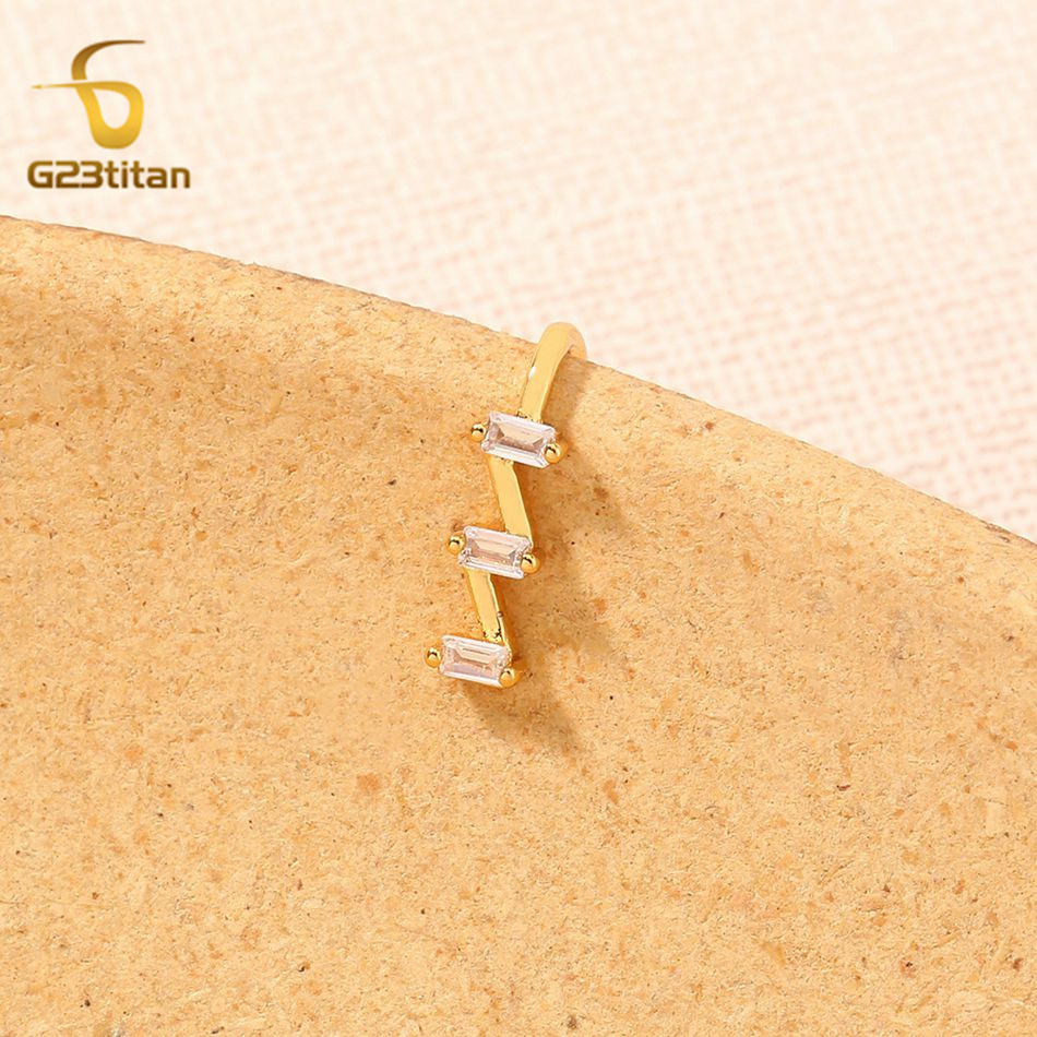 1pc gefälschte Nase Piercing R – Helix Cartilage Ring Bewertung und Preis