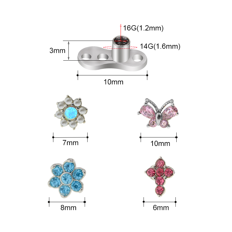1 STÜCK 100 % Chirurgenstahl 1 – Dermal Anchor Top Bewertung und Preis