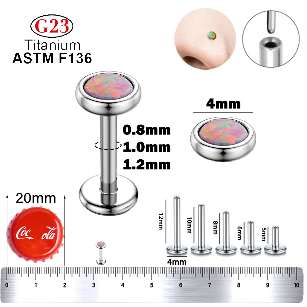 1 Stück G23 Titan Nasen-Labret – Body Jewelry Threadless Bewertung und Preis